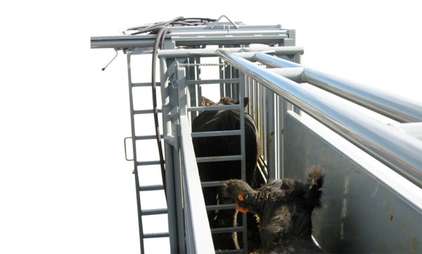 Horizontal Roll Gate Pearson Livestock Equipment Alternate View 2