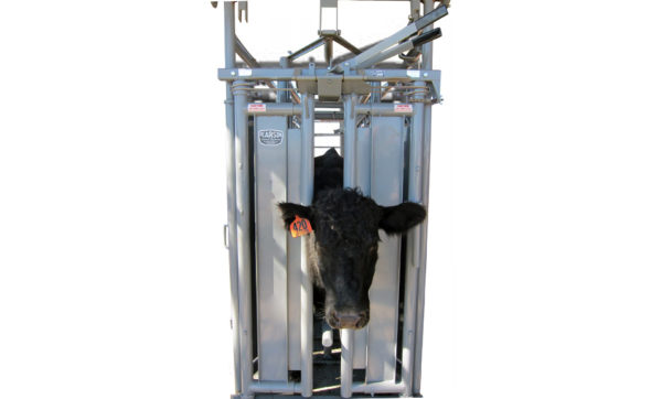 Self Catch Headgate Pearson Livestock Equipment Alternate View 1